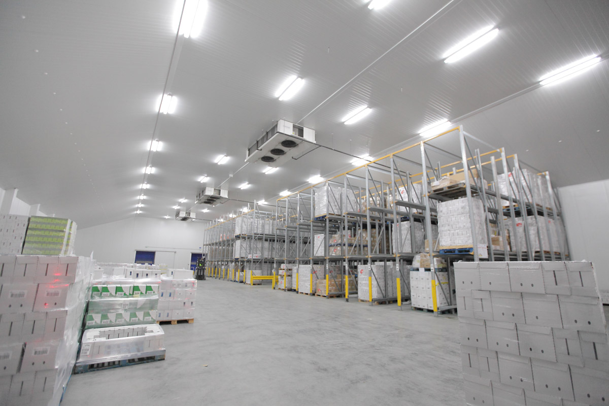 How Refrigerated Warehousing Fits Into Cold Chain Logistics