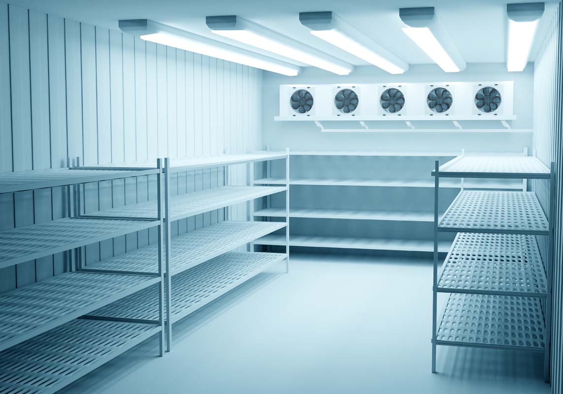 Understanding the Basics of Vancouver Refrigerated Warehousing