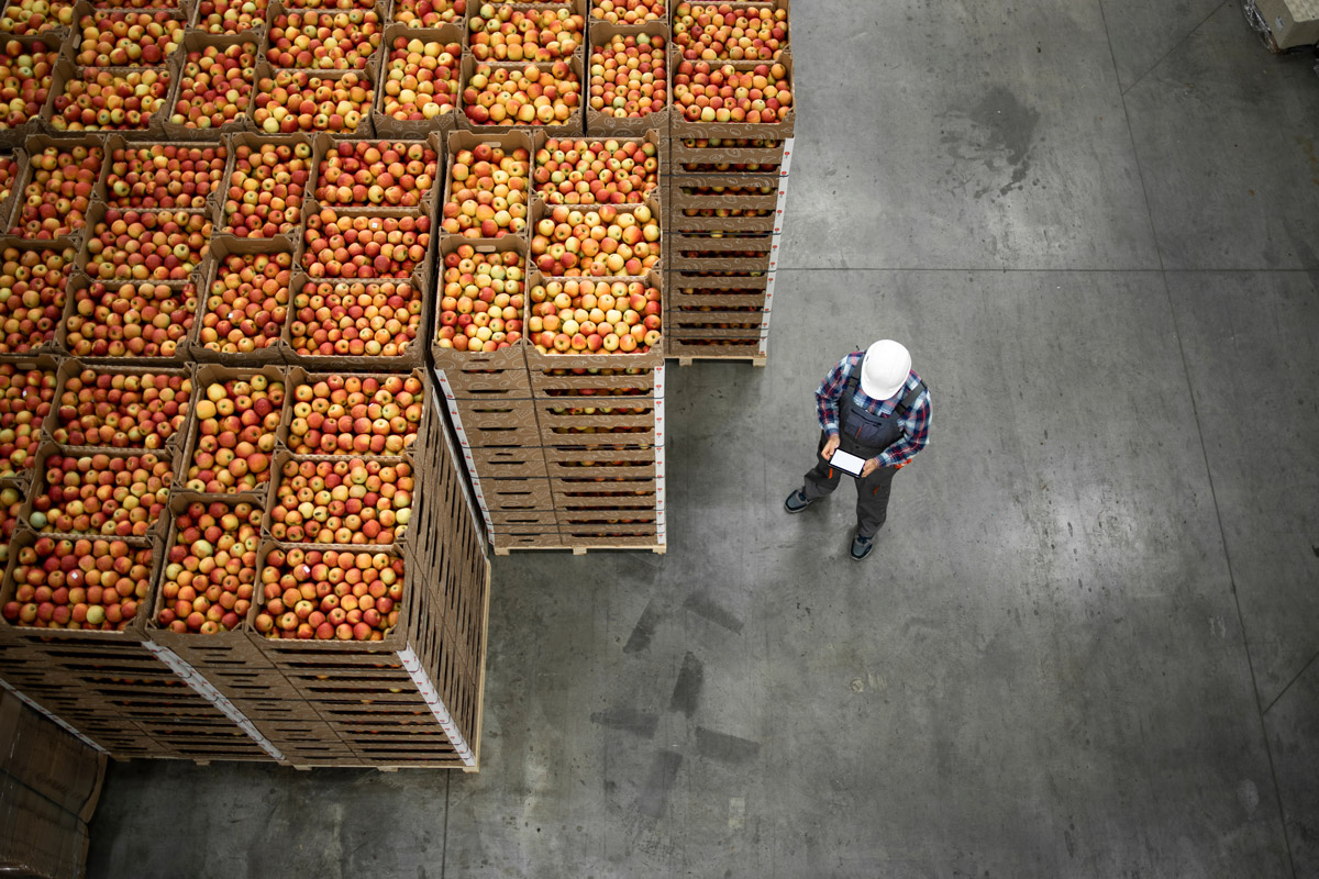 What Makes a Warehouse Food-Grade? A Look at HACCP, SQF, and CFIA Standards